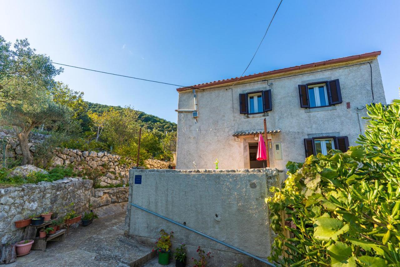 Apartmani Valun1 외부 사진