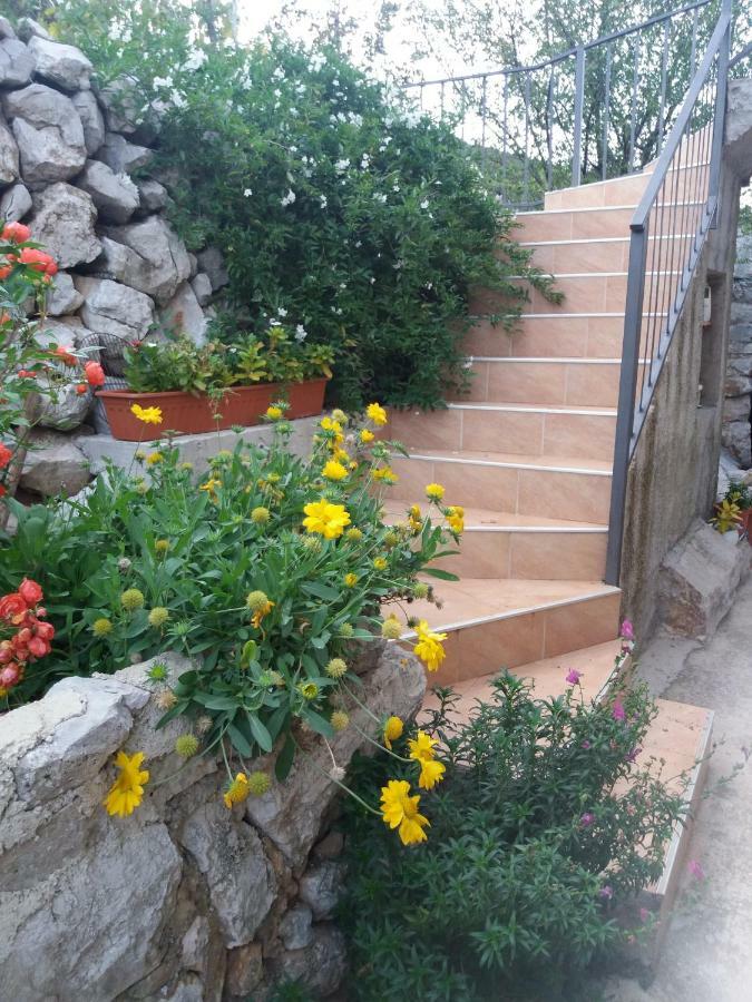 Apartmani Valun1 외부 사진